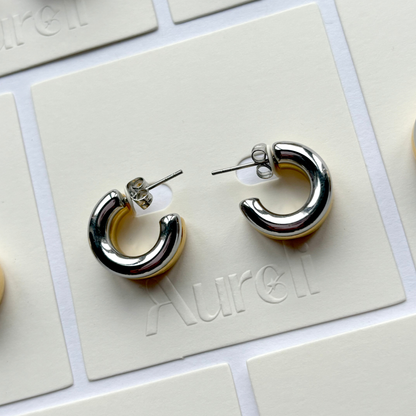 Mixed Metal Hoop Stud Earrings Gold & Silver